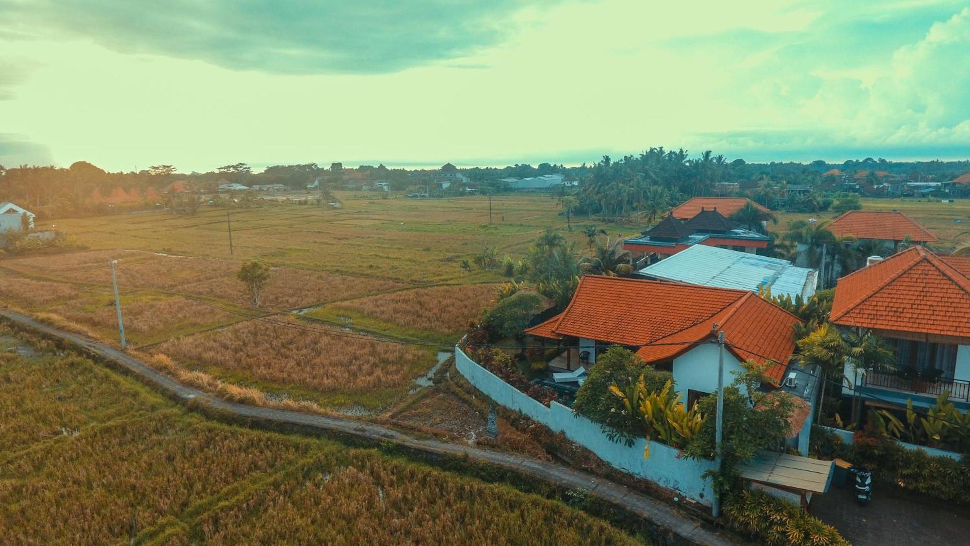 Villa Maya Ubud, Peaceful Rice Field View Ngoại thất bức ảnh
