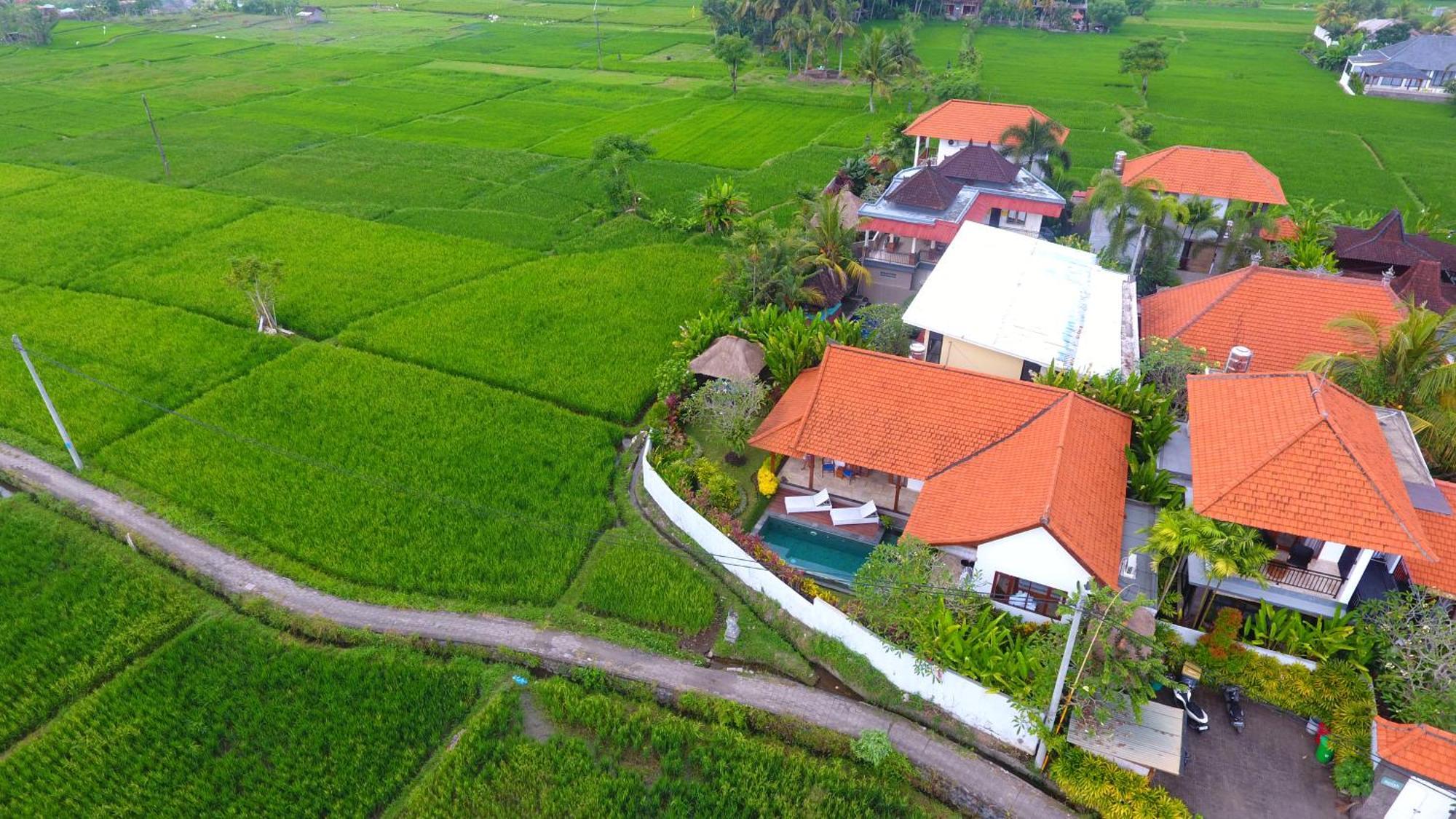 Villa Maya Ubud, Peaceful Rice Field View Ngoại thất bức ảnh