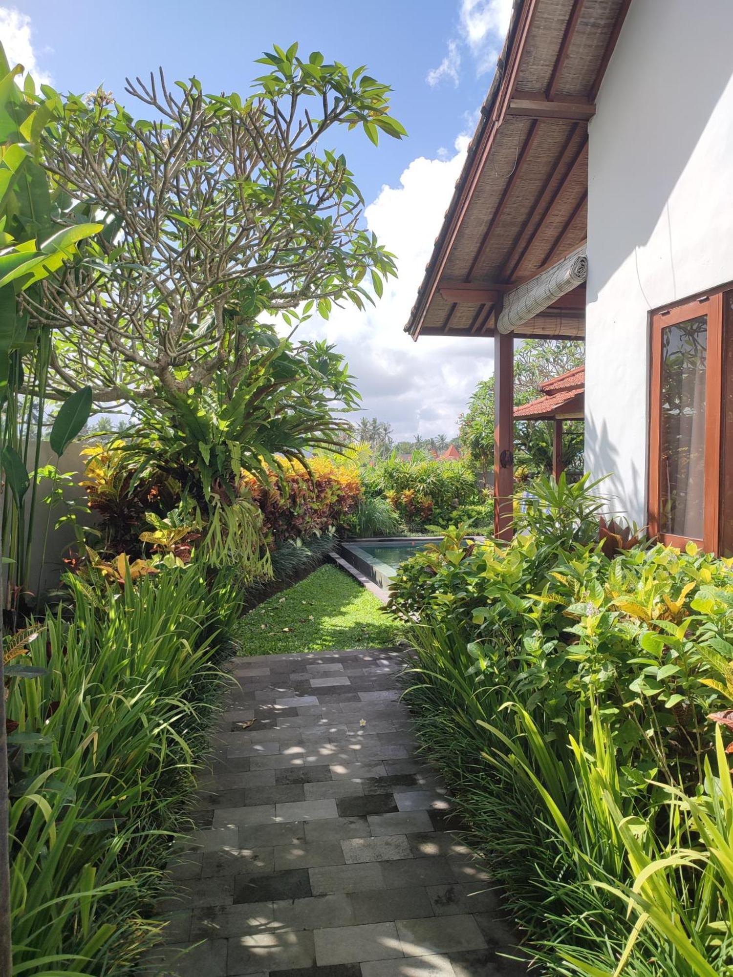 Villa Maya Ubud, Peaceful Rice Field View Ngoại thất bức ảnh